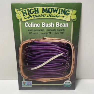 Celine Bush Bean Seeds, Organic